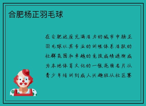 合肥杨正羽毛球