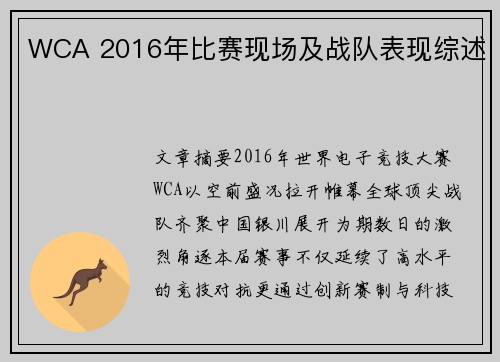 WCA 2016年比赛现场及战队表现综述