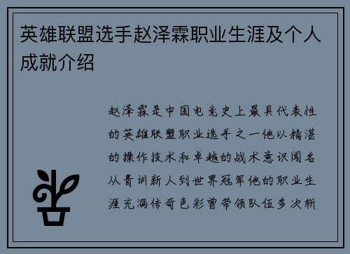 英雄联盟选手赵泽霖职业生涯及个人成就介绍