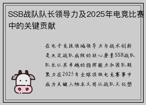 SSB战队队长领导力及2025年电竞比赛中的关键贡献